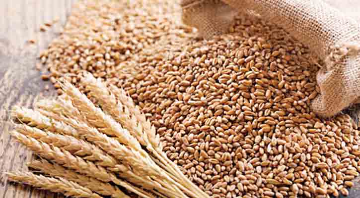 Bangladesh plans to import wheat from India