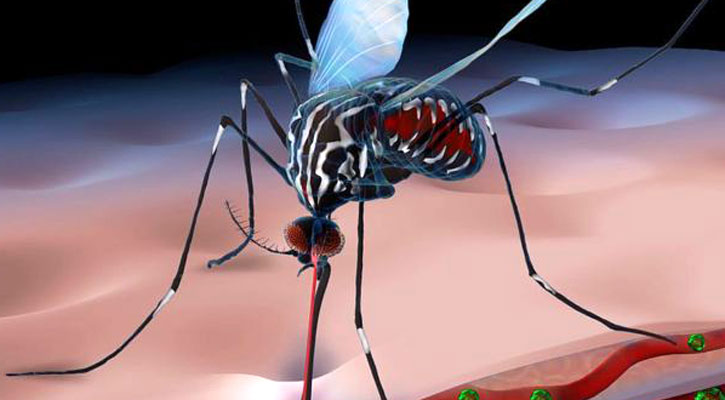 Dengue: 31 hospitalised in last 24 hours