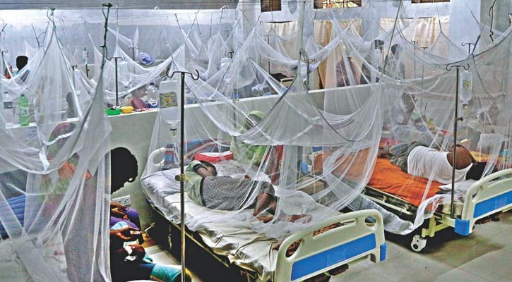 Dengue: 77 hospitalised in last 24 hours