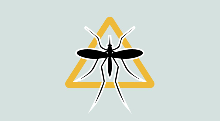 Dengue: 116 hospitalised in last 24 hours