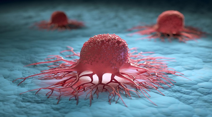 Cancer drug cooperation could save 1.5m lives a year: Researchers