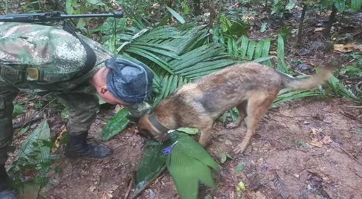 Four children reported found in Amazon 17 days after plane crash