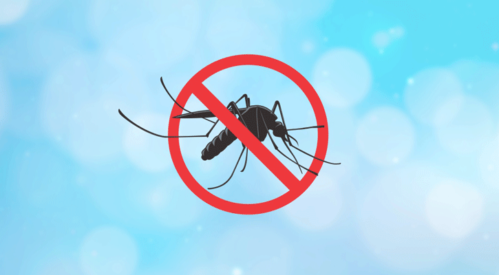 Dengue fever: 2 deaths, 134 hospitalised in 24 hours