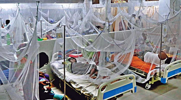 Dengue fever: One death, 46 hospitalised in 24 hours
