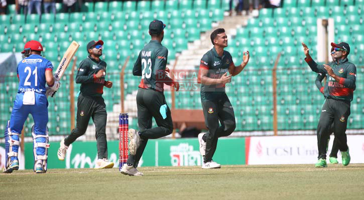 Cornered Tigers Bounce Back with Vengeance 