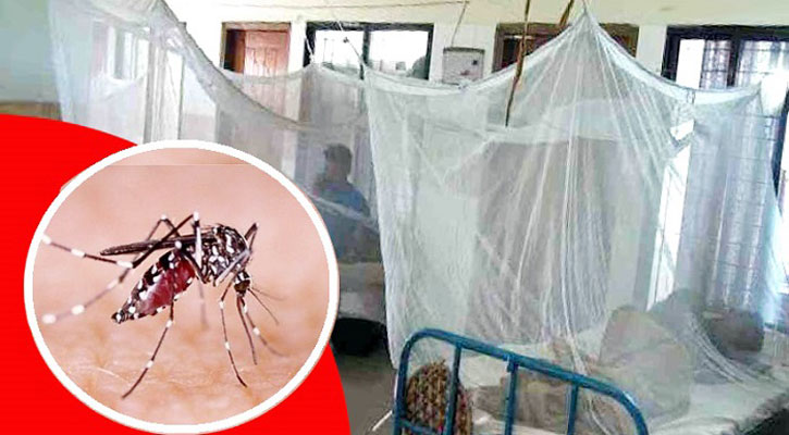 Dengue: 12 more die, 1,852 hospitalised in 24 hours