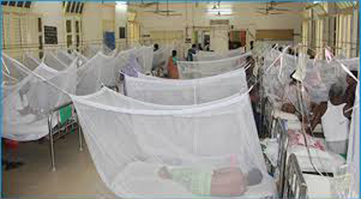 Dengue: 15 more die, 2,103 hospitalised in 24 hours