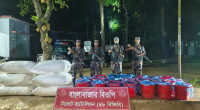 BGB recovers smuggled goods, buffaloes from Sylhet border