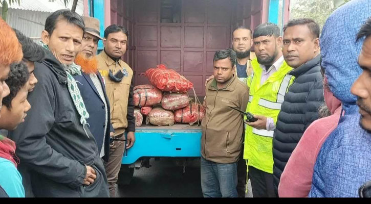 রংপুরে ২৭ কেজি গাঁজাসহ আটক ১