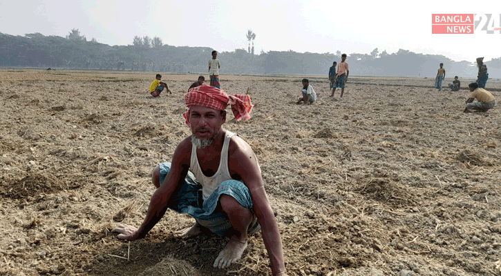 দলবদ্ধ হয়ে তরমুজ চাষে মিলছে সফলতা 