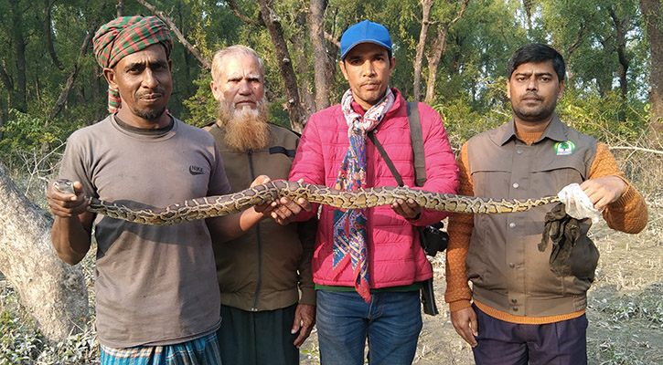 রান্না ঘর থেকে হরিণঘাটার বনে গেল অজগর