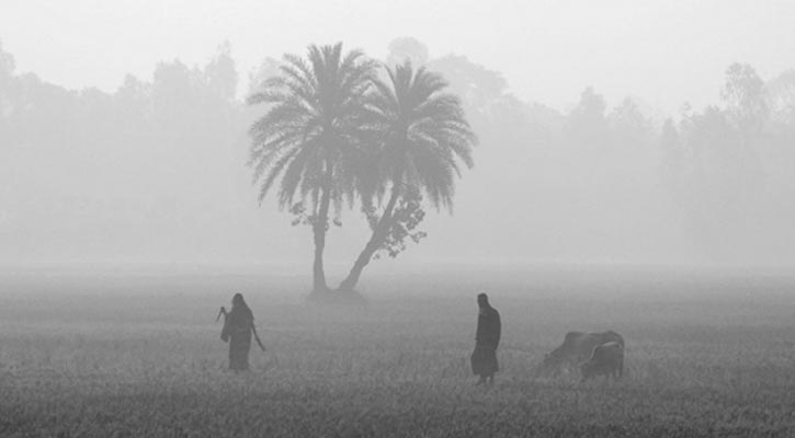 শৈত্যপ্রবাহ কিছুটা প্রশমিত হতে পারে