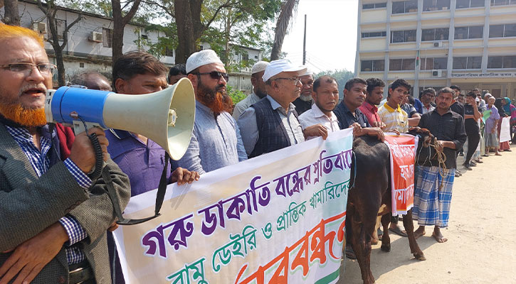 রামুতে গরু চুরি-ডাকাতি বন্ধের দাবিতে মানববন্ধন