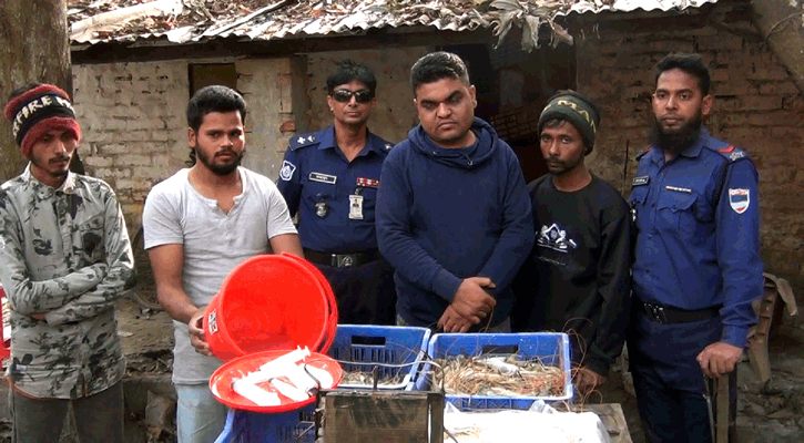 সাতক্ষীরায় চিংড়িতে অপদ্রব্য পুশের দায়ে একজনের কারাদণ্ড