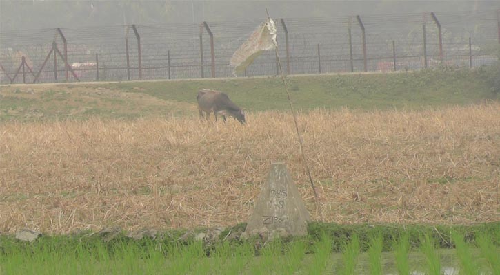 বকশীগঞ্জ সীমান্তে আন্তজার্তিক সীমানা পিলার উধাও