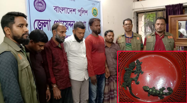 বরগুনায় ৩টি তক্ষক উদ্ধার, আটক ৫