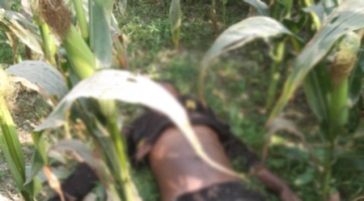 ধামরাইয়ে ভুট্টা ক্ষেতে পড়েছিল রংমিস্ত্রির মরদেহ