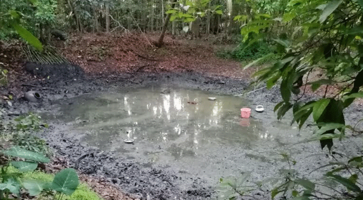 পুকুরে সেচ দিয়ে মিলল নিখোঁজ নারীর মরদেহ