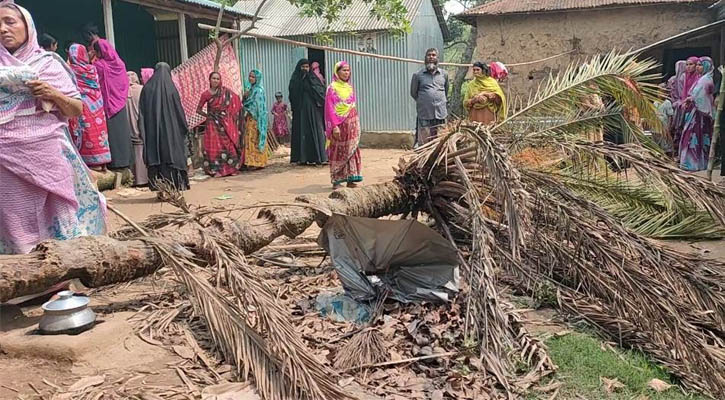 রান্না করার সময় গাছ পড়ে গৃহবধূর মৃত্যু