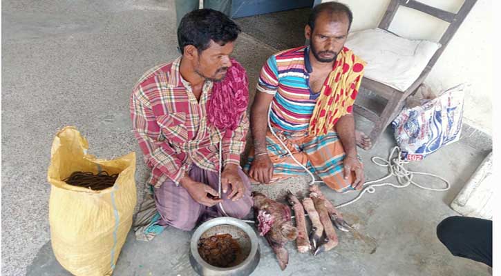 সুন্দরবন থেকে হরিণের মাংস, পা ও মাথাসহ আটক ২