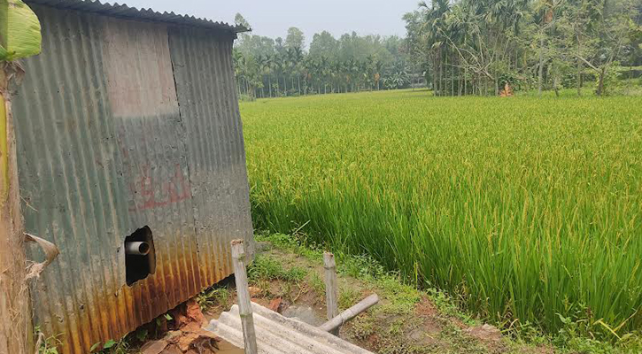 টাঙ্গাইলে সীমাহীন লোডশেডিং, জনজীবন অতিষ্ঠ 