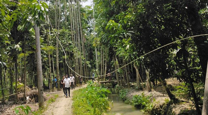 পল্লী বিদ্যুতের জোড়াতালি দেওয়া তারে প্রাণ গেলো মাদরাসা ছাত্রের