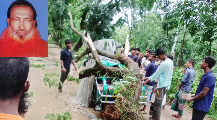 ঝড়ে চলন্ত অটোর ওপর ভেঙে পড়লো গাছ, আহত যাত্রীর মৃত্যু