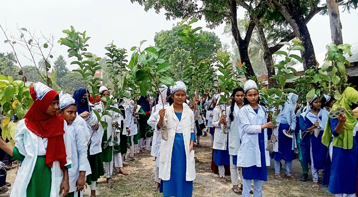 পরিবেশ দিবসে সাদুল্লাপুরে এক হাজার চারা রোপণের উদ্যোগ