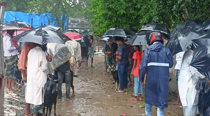 বৃষ্টি উপেক্ষা করে হাটে ক্রেতা-বিক্রেতাদের ভিড়