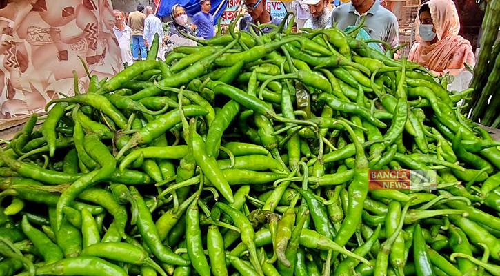 কাঁচা মরিচের বাজারে আগুন, বিপাকে ক্রেতারা