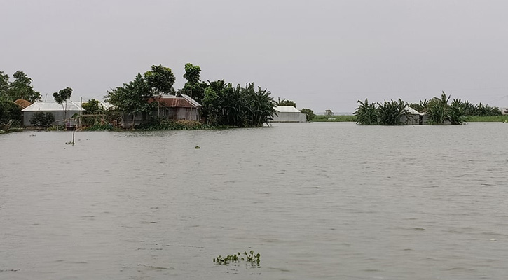 যমুনায় পানি বৃদ্ধি অব্যাহত, প্লাবিত সিরাজগঞ্জের নিম্নাঞ্চল