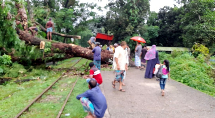 নোয়াখালীতে ভারী বর্ষণে গাছ উপড়ে লাইনে, রেল যোগাযোগ বন্ধ
