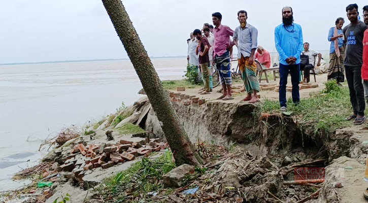 ৩০ মিনিটে পদ্মায় বিলীন ১২ বসতঘর