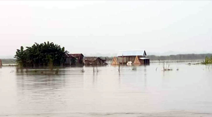 কমতে শুরু করেছে জামালপুরের যমুনা নদীর পানি