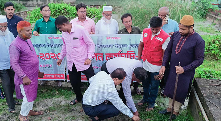 পাথরঘাটায় সড়কের পাশে ১০ হাজার তালের বীজ রোপণ