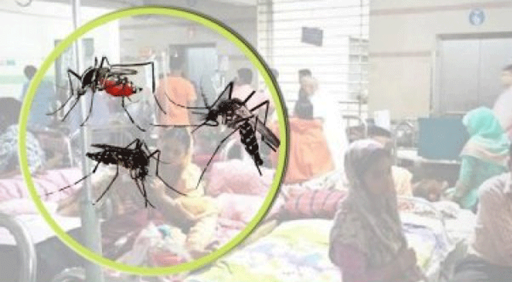 ফরিদপুরে ডেঙ্গুতে আরও ২ জনের মৃত্যু, হাসপাতালে ৩৫০