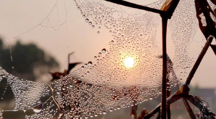 বর্ষা বিদায় নিয়েছে, আসছে শীতের হাওয়া