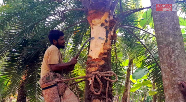 নাটোরে এবারও ১০৫ কোটি টাকার গুড় উৎপাদনের টার্গেট