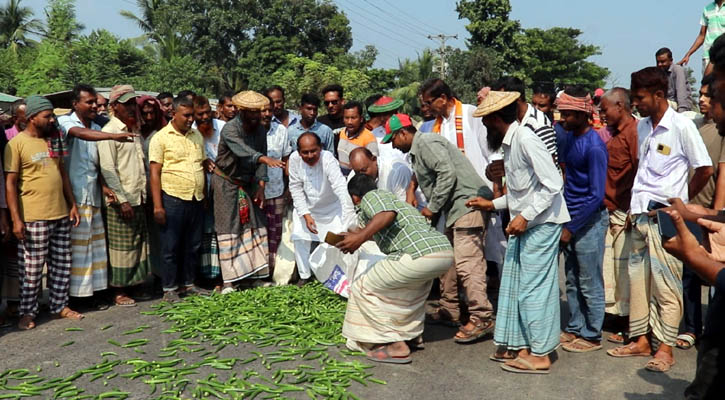 মহাসড়কে সবজি ঢেলে কৃষকদের হরতালবিরোধী প্রতিবাদ