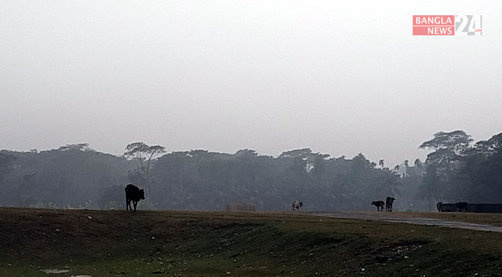 ভোলায় গুঁড়ি গুঁড়ি বৃষ্টিতে জনদুর্ভোগ