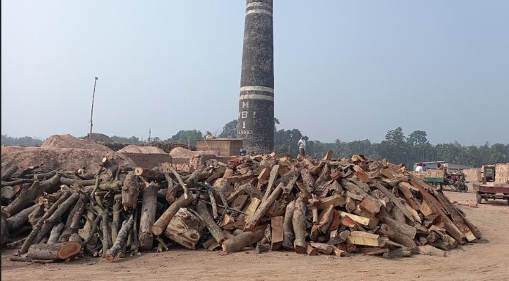 রাজবাড়ীতে ফসলি জমিতে অবৈধ ইটভাটা