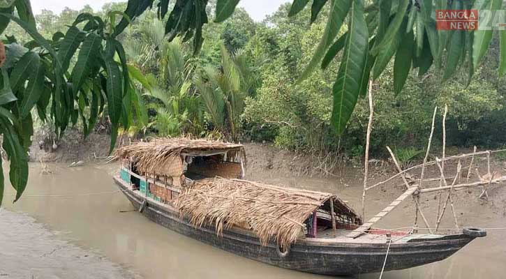 সুন্দরবনে গোলপাতা আহরণ শুরু রোববার