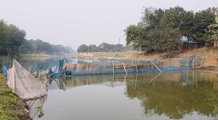 বোয়ালমারীতে বারাসিয়া নদীতে বাঁধ দিয়ে মাছ শিকার