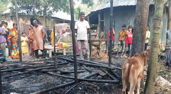 মাগুরায় গরুসহ ৪ ছাগল পুড়ে ছাই, শোকে কৃষকের মৃত্যু 