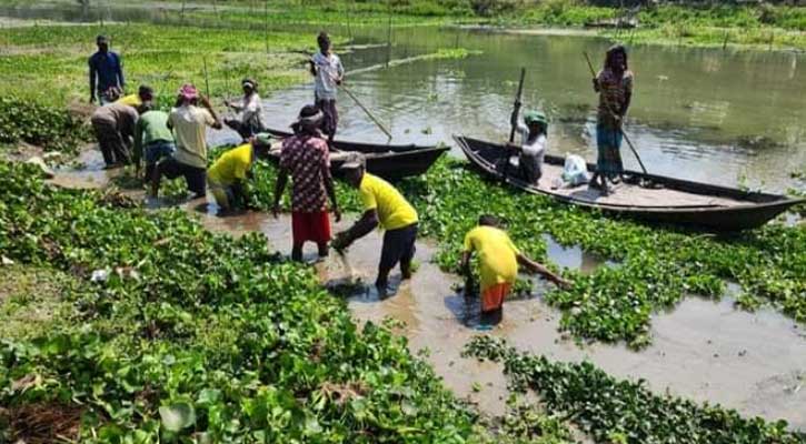 কুমার নদ রক্ষায় ফের কচুরিপানা অপসারণ