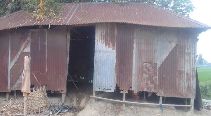 সিরাজগঞ্জে কৃষকের ১০ গরু চুরি, ৮ লাখ টাকার ক্ষতি