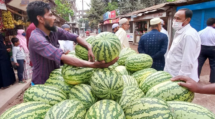 চাঁদপুরে ১২০ টাকায় তরমুজ, ডাব অর্ধেক দামে