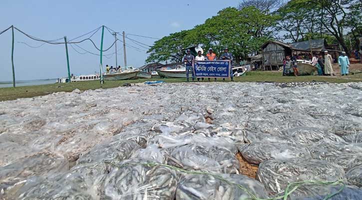 ভোলায় যাত্রীবাহী লঞ্চ থেকে ১২০ মণ মাছ জব্দ