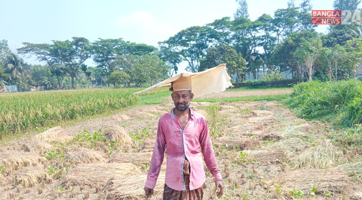 বৃষ্টি নয়, আরও দু’সপ্তাহ কড়া রোদ চান কৃষকেরা