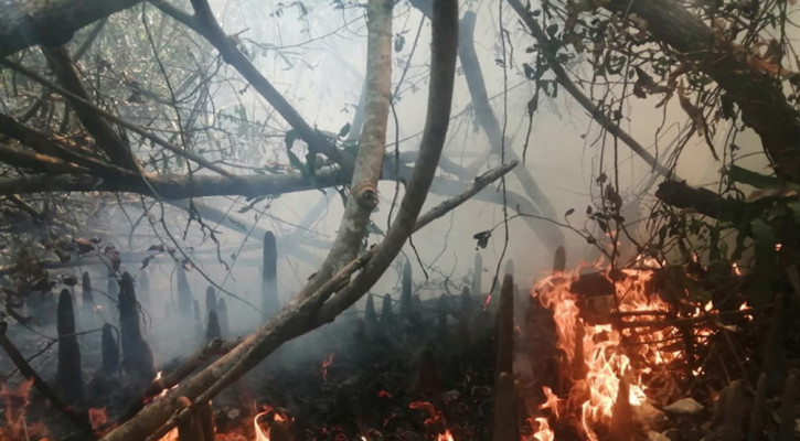 জ্বলছে সুন্দরবন, আগুন নেভাতে ভোরের অপেক্ষা